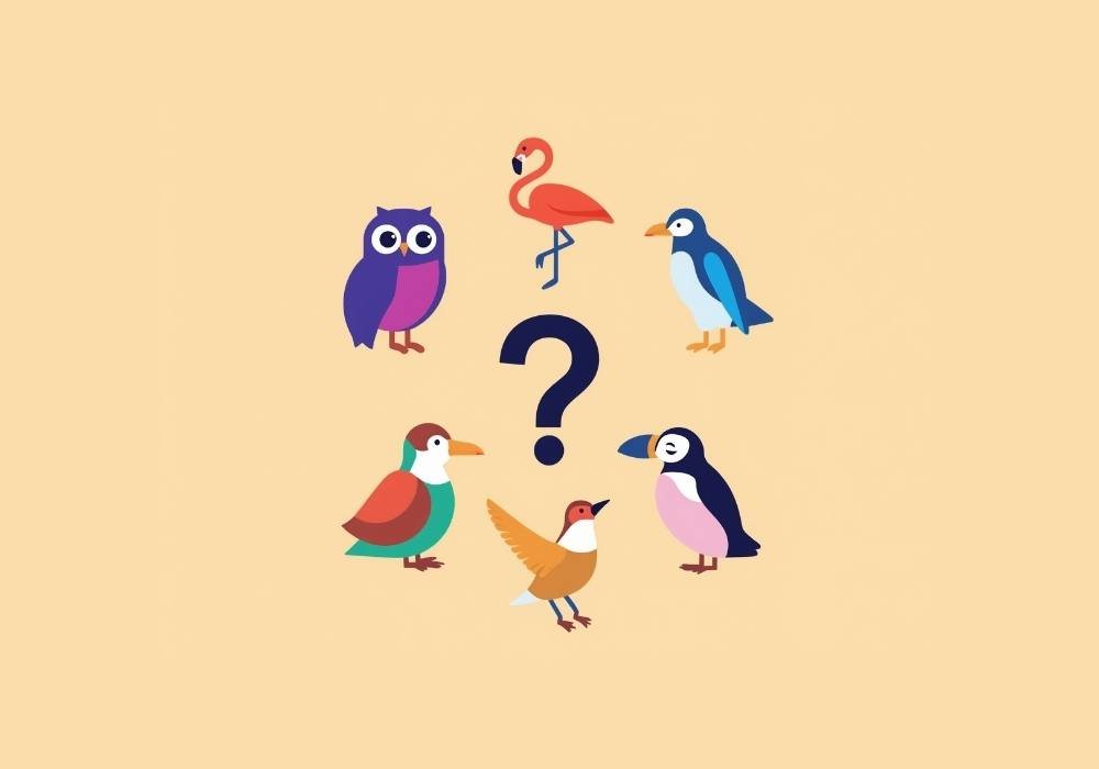 bird personality quiz